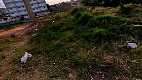 velma gets multiple creampies from bbc for halloween 🎃💦