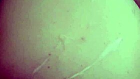 safadoscasal comendo esposa gostosa tesão demais