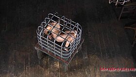 T beautys fuck holes