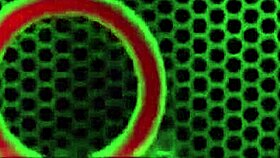 I am Sara Jay inserting my glass dildo deeply in the kitchen