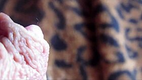 i watched as the huge clitoris had an intense orgasm in closeup