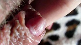 i watched as the huge clitoris had an intense orgasm in closeup