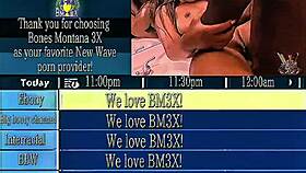 2000s black porn type beat ft vixen vanity