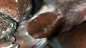 pov fucking latina pussy and asshole hard