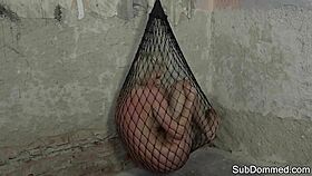 Dominated Euro Trapped In Web By Maledom