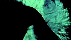 Can You Handle Vintage Lesbians Eating Pussy?