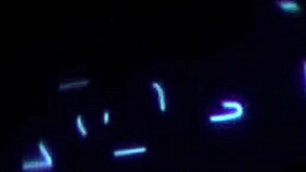 Milf Kayla Paige Loves Fucking Nathan Bronson