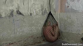 Dominated Euro Trapped In Web By Maledom