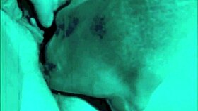 dark lantern entertainment presents the dragonfly freddie in vintage retro style