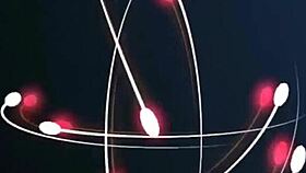 Seguidor de mis redes sociales viene a visitarme y me folla mientras mi esposo no esta en casa al final mi esposo llega a casa y nos descubre follando continuacion del video en mi canal premium de xvideos