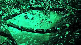 dark lantern entertainment presents the dragonfly freddie in vintage retro style