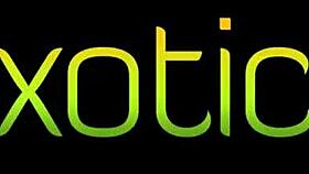 does kira perez twerk all over big cock?