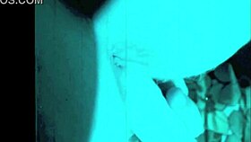 dark lantern entertainment presents the dragonfly freddie in vintage retro style