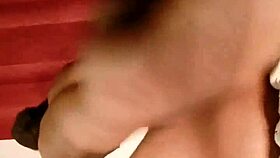 Sundaydogood614 shares update 291 on July 4