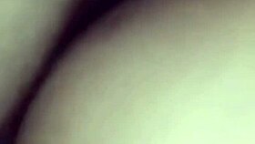 The amateur crossdressing transsexual in a gay passionate session