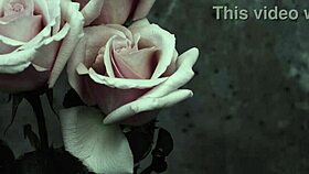 Mcr - i dont love you sub espa�ol