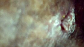 indian housewife gets seduced by lover for wonderful fuck