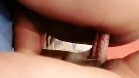 Sundaydogood614 shares homemade update 674 on December 10, 2024.