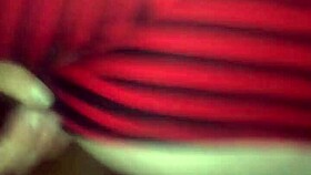 The bbw rides reverse cowgirl on a big black cock