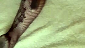 I was woken up with a surprise on my ass by Klaudiaambergirl