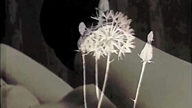 discover my secret erotic hairy pussy adventures in vintage style