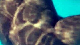 damn this fat ass jiggles so much wanna smack it?