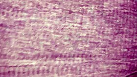 Fucking her tight ass outdoors relentlessly