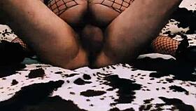 Elegant homemade couple enjoys passionate anal sex in pov.