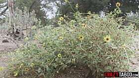 April Olsen Ravishes Jane Wilde's Perfect Ass in Wild Lesbian Fuck!