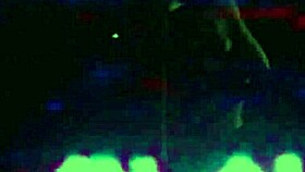 Check Out Amazing Acoustic Slowed They Go Both Wayz!