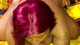 nigarchrist unveils petal in update 1562 july 6 2025