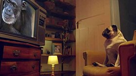 teen blonde amateur shows off her perfect big ass boobs and shaved pussy