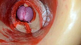 huge cock blasts deep creampie captured by internal pussy cam