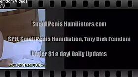 ugh your tiny dick is pathetic sph humiliation from mistress