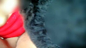 Chatting about the year's top missionary moments for new year cheers