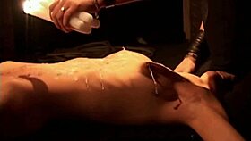 wanna follow your master on leash to his nest for bdsm whipping and sucking?