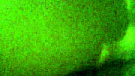 check out this fat booty jiggling and clapping everywhere