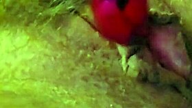 moaning chubby amateur vibes clit hard with vibrator and fingers