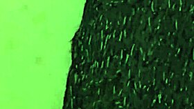 looking for a stranger on my cruise to fuck my pussy hard and fill me up completely who wants to join right now