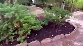 i took wolfdaddy901s thick cock bareback anal creampie bent over in public park crossdressing redhead