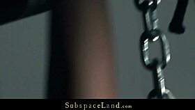 Alexis bound tight vibed to screaming climax