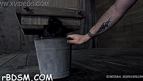 wanna hear some wild free sadomasochism stories with rough blowjobs and hardcore fucking? 😈🍆💦