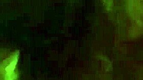 young latina from el paso teases with her hot curves