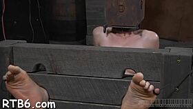 bound sadomasochism queens get dominated hard doggystyle with spanking and rough fucking