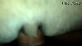 Boss Furious Fucks Secretary in Office