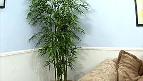 oh man allanah li gets slammed so hard by john strong's monster cock