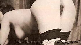 Dark Lantern Presents Victorian Gentleman's Erotic Group Sex Confessions Vintage