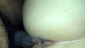 Brunette amateur bends over for massive interracial cock pounding