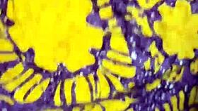 Skinny Asian Neighbor Girl Next Door Bent Over Doggystyle Milked Hard