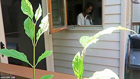 Nikki's juicy cheeks bounce wildly as she's taken from behind doggystyle